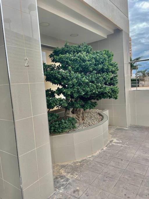 Enjoy Apartment Aparcamiento 5 Min De La Playa Calp Dış mekan fotoğraf